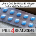 ¿Para Qué Se Utiliza El Milagro De La Miel De Leopardo viagra3